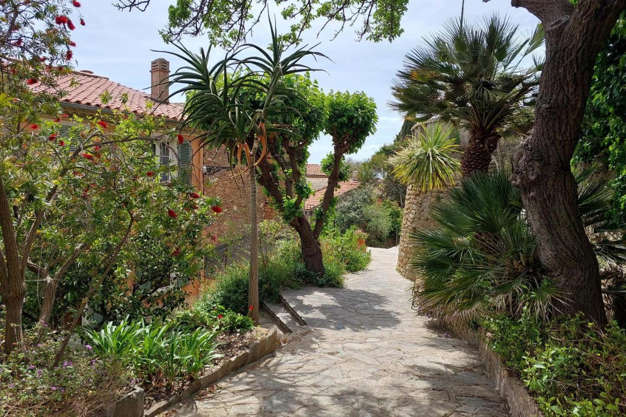 Bright 29M With Nice View In Bormes-Les-Mimosas Apartment Екстериор снимка